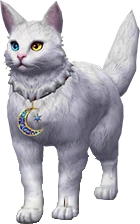 Mistik Kahin Kedi